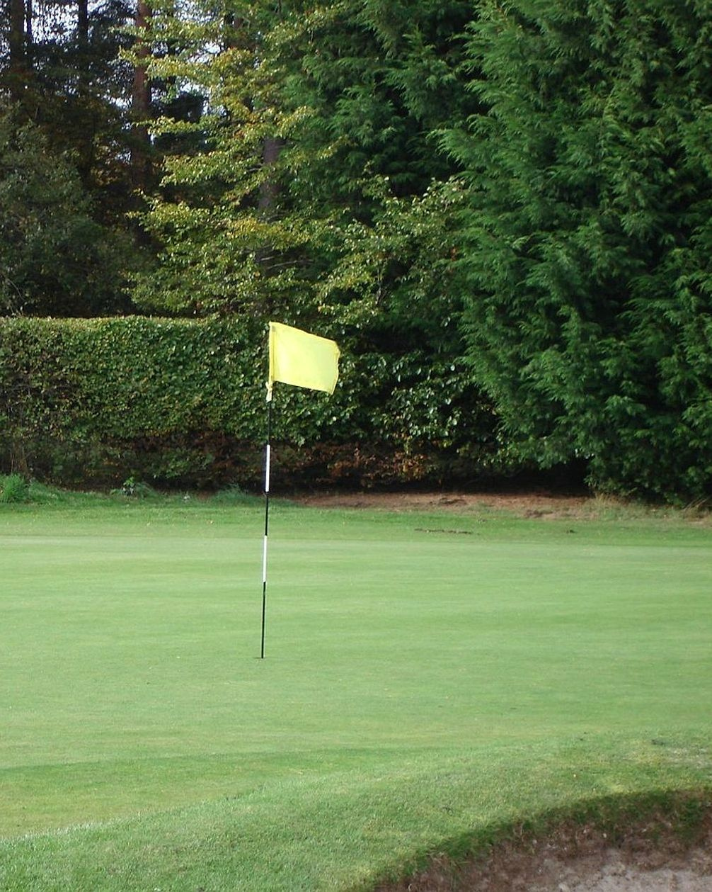 El comienzo del torneo